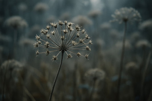 Beyond Bloom: When Matter Persists, the Landscape Evolves - GENERAFORMA