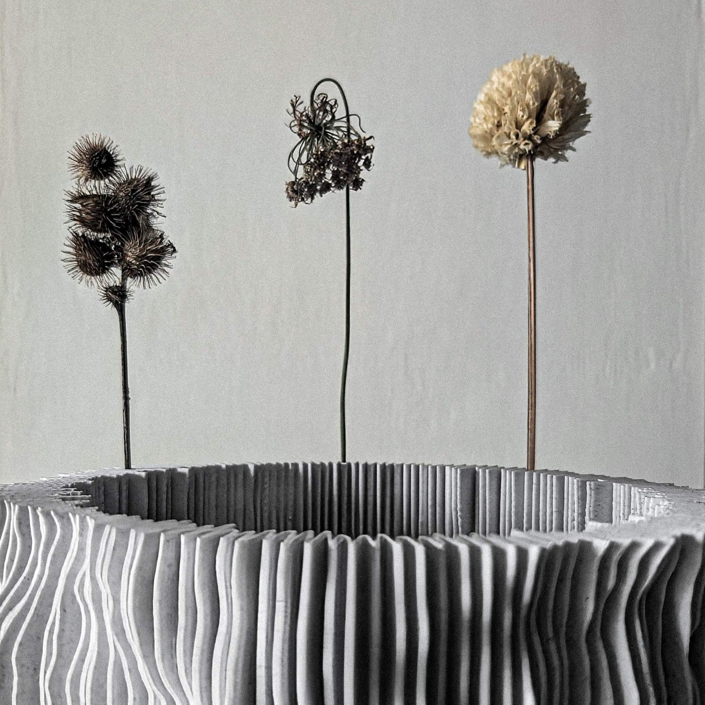 detailed view of PROFILUM Lamp showing how folds hold botanical stems