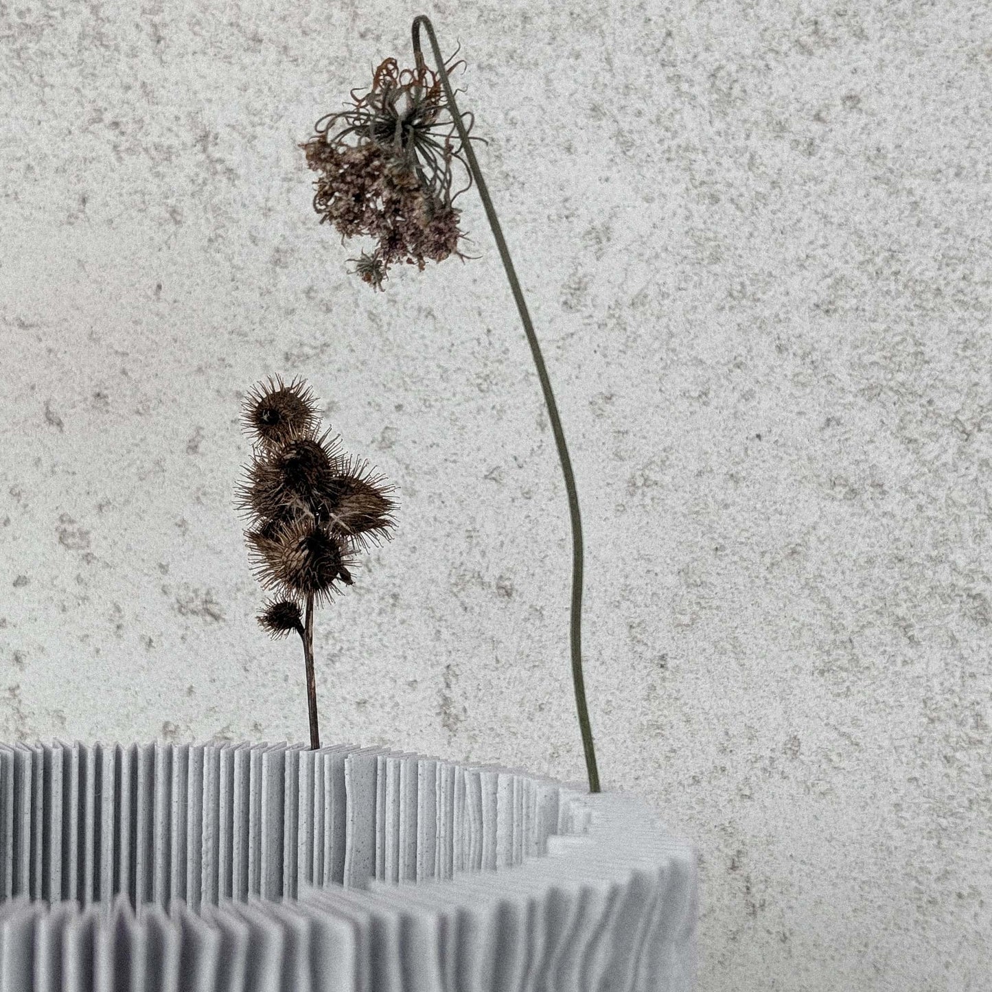 close up of profilum lamp holding flowers on the folds