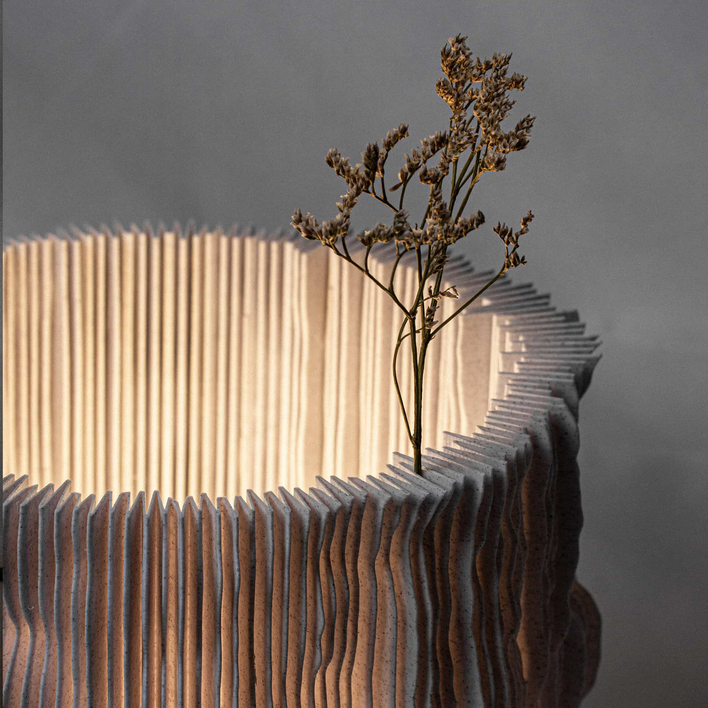 Artistic arrangement of a plant emerging from a textured, folded lamp sculpture against a gray background.