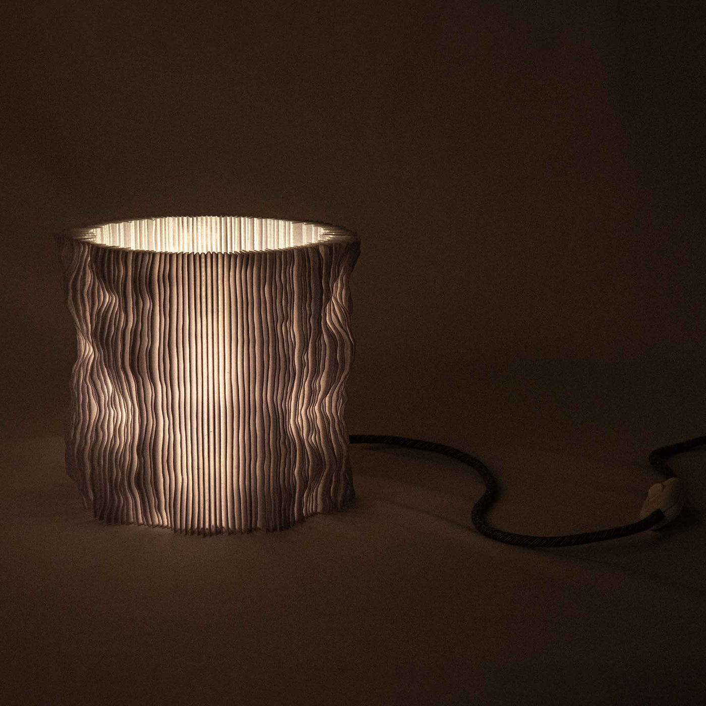 3d printed table lamp PROFILUM illuminating dried stems inserted between folded ridges