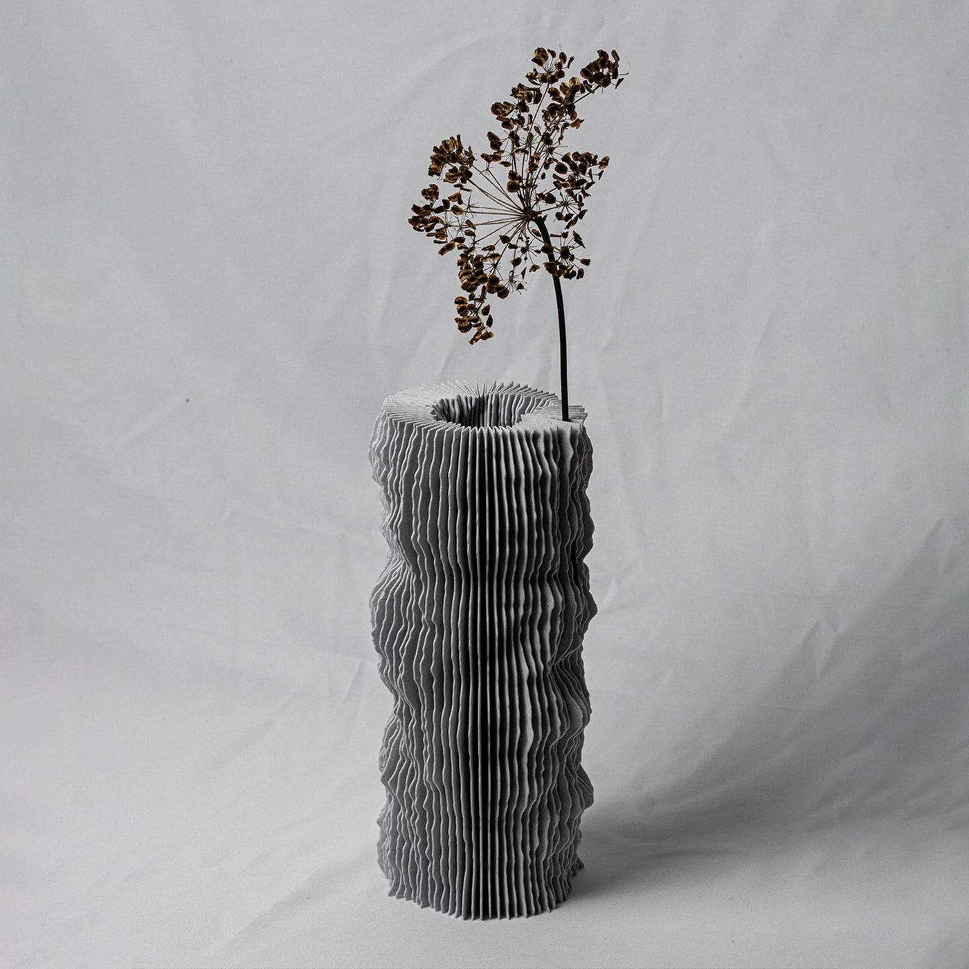 Profilum 3d printed vase with a single stem inside his folds on a plain background