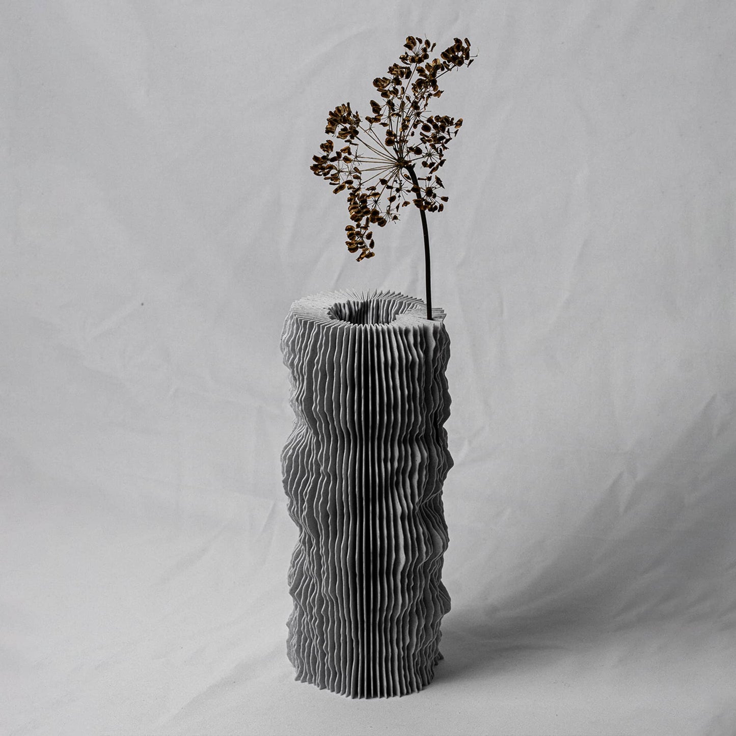 Profilum 3d printed vase with a single stem inside his folds on a plain background